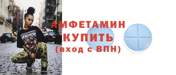 амф Новозыбков