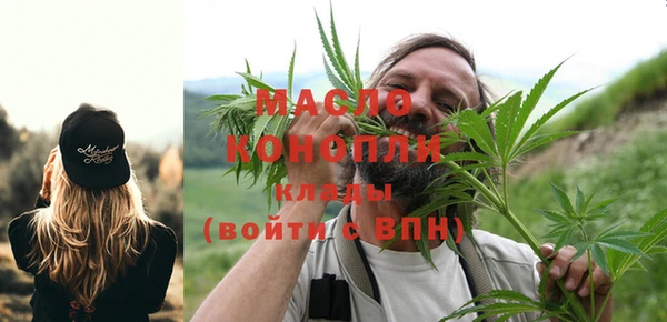 амф Новозыбков