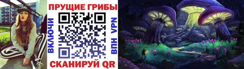 Купить закладки  Первоуральск  Галлюциногенные грибы Magic Shrooms 